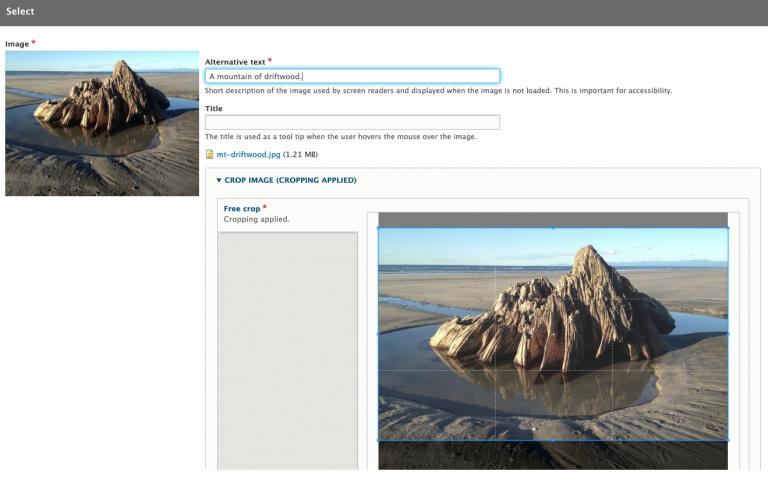 Image editor
